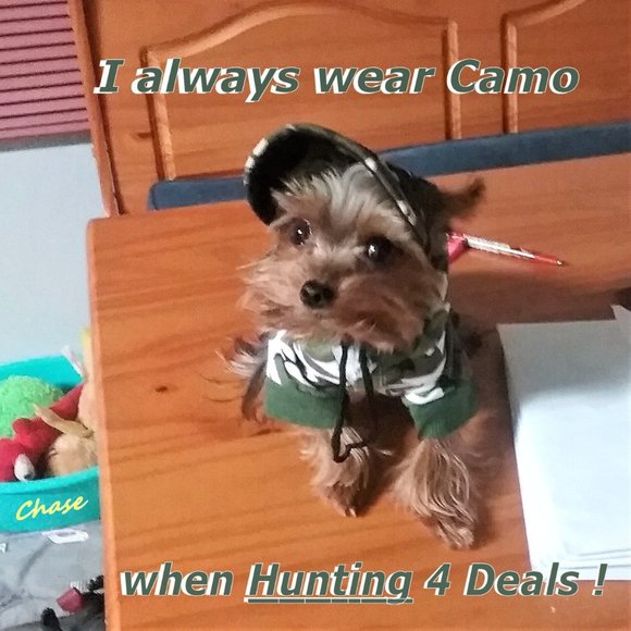 Meet your Posher, Sissie - Picture 2 of 14